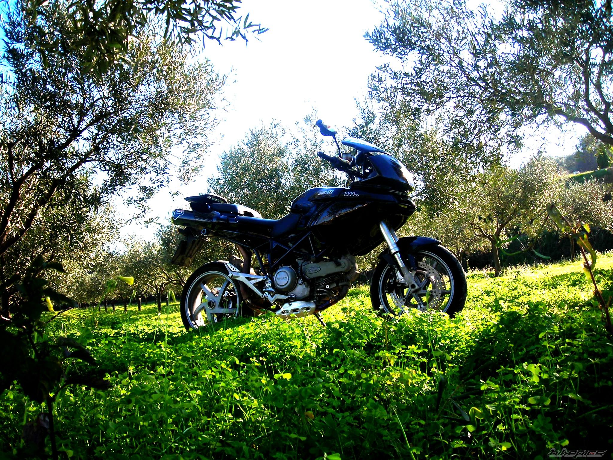 2004 DUCATI DS 1000 MULTISTRADA | Picture 1154255 motorcycle photo