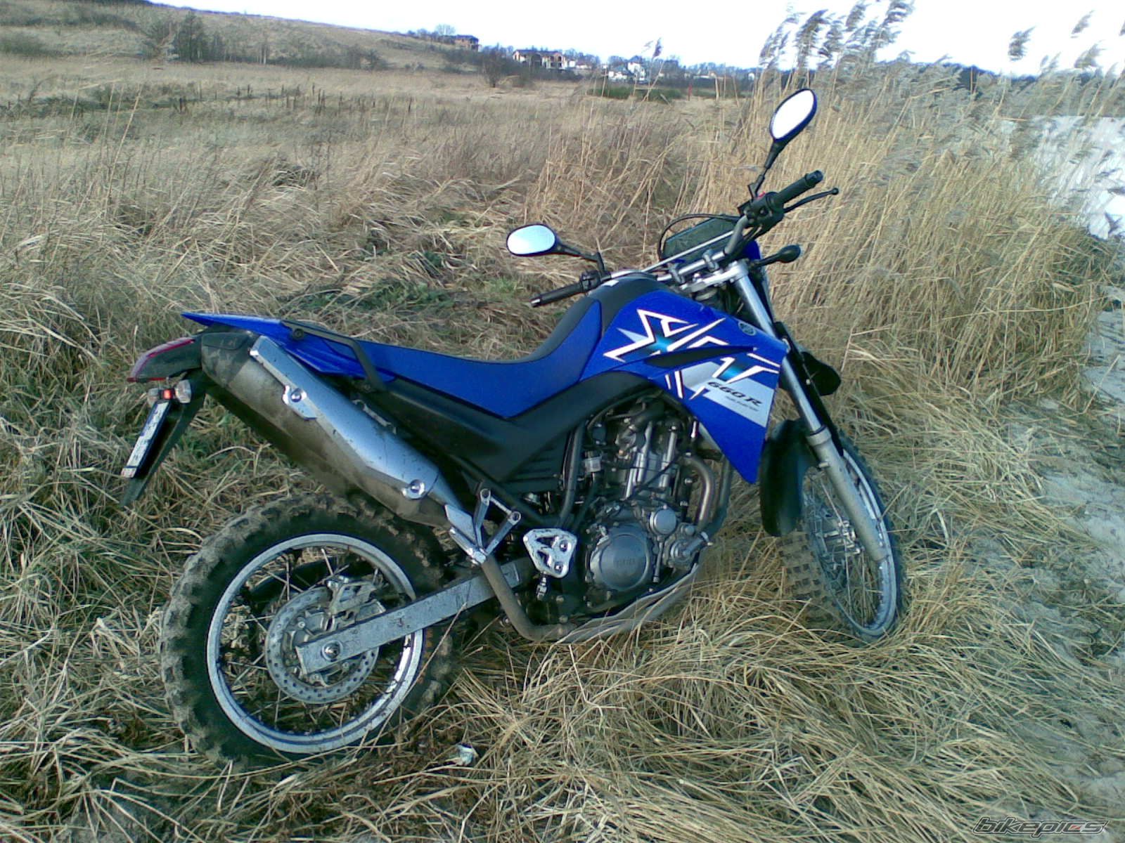 2008 YAMAHA XT 660 | Picture 1154259 motorcycle photo