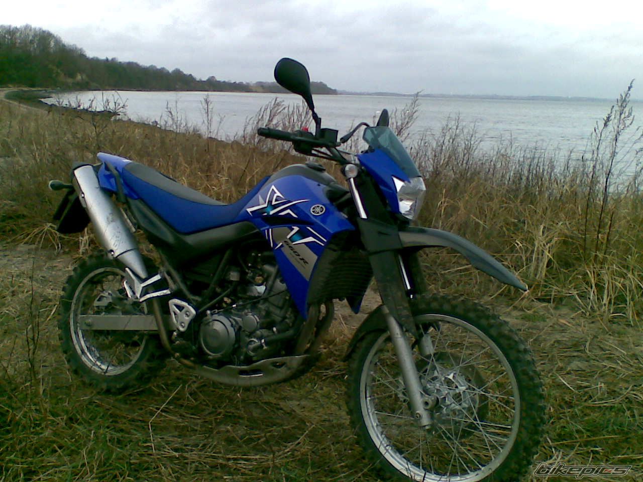 2008 YAMAHA XT 660 | Picture 1154390 motorcycle photo