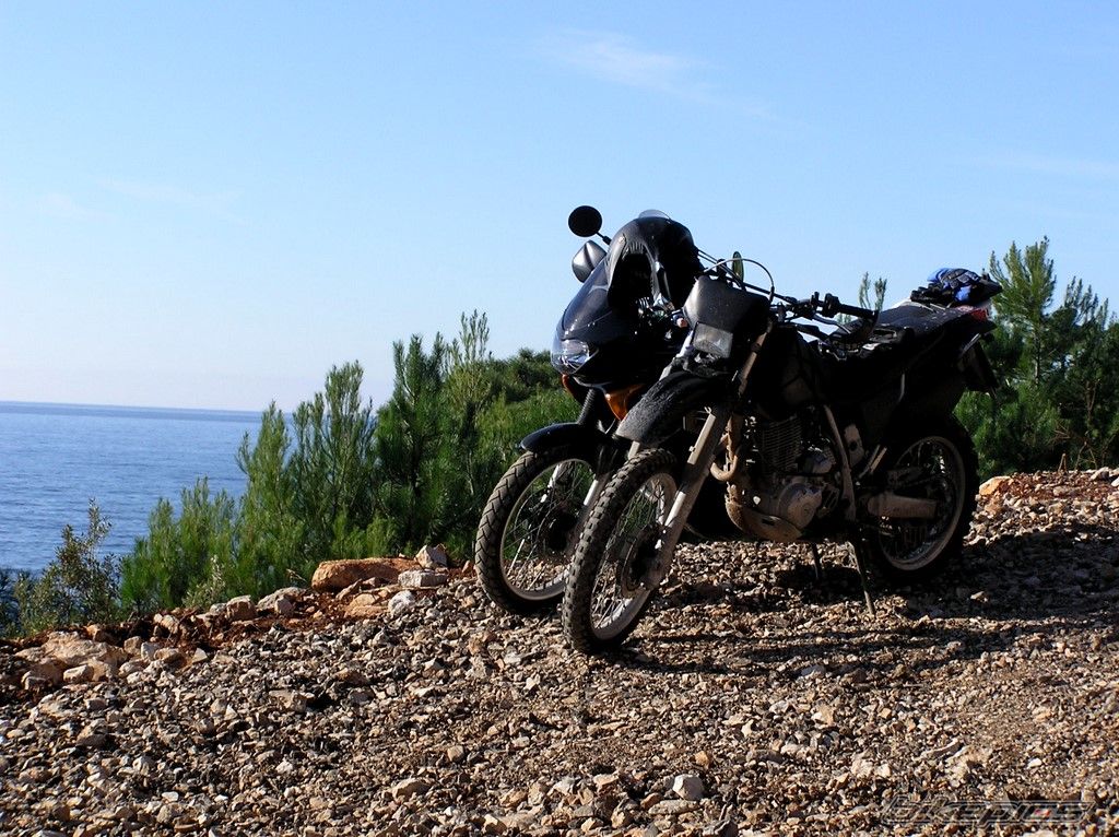 2000 HONDA XL 650V TRANSALP | Picture 1154441 motorcycle photo