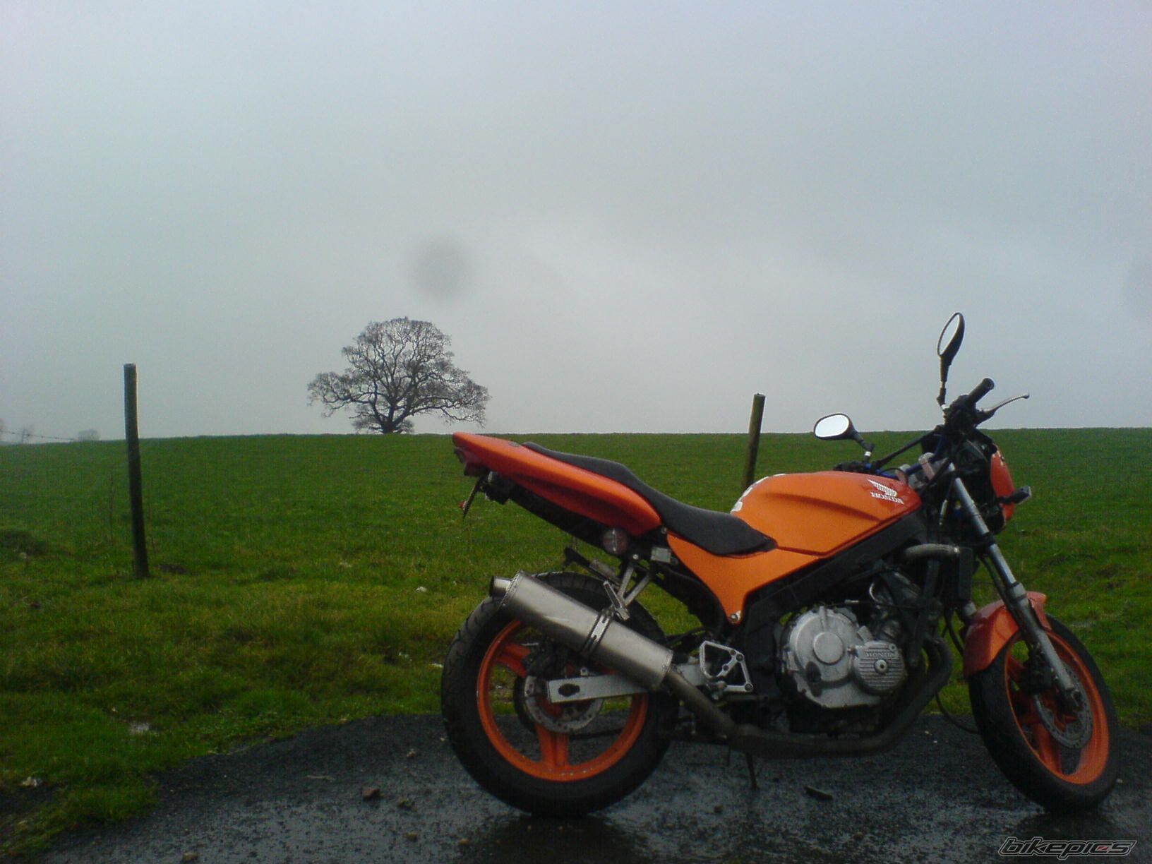1988 HONDA CBR 600 FS | Picture 1154447 motorcycle photo
