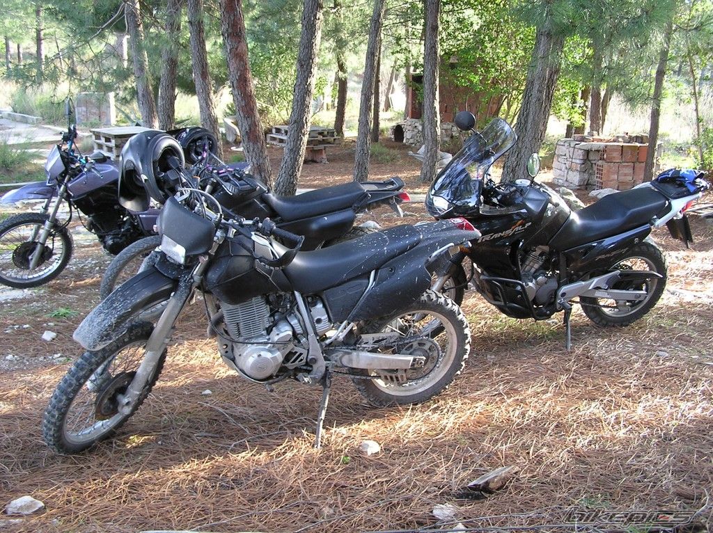2000 HONDA XL 650V TRANSALP | Picture 1154448 motorcycle photo