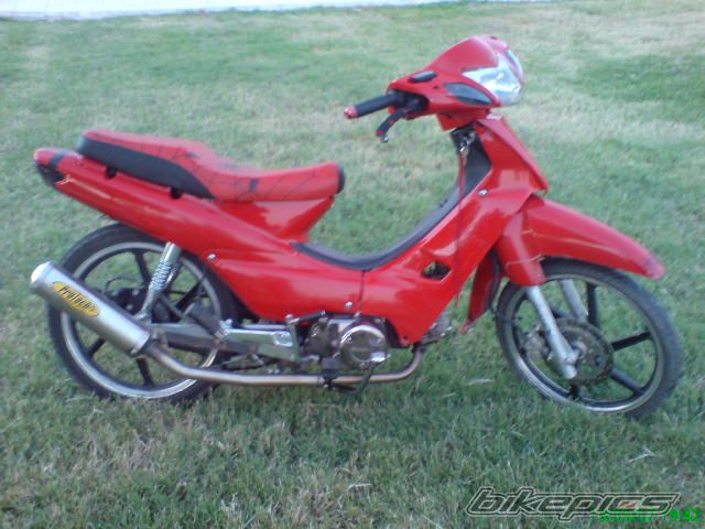 2005 HONDA SUPRA 110 | Picture 1154582 motorcycle photo