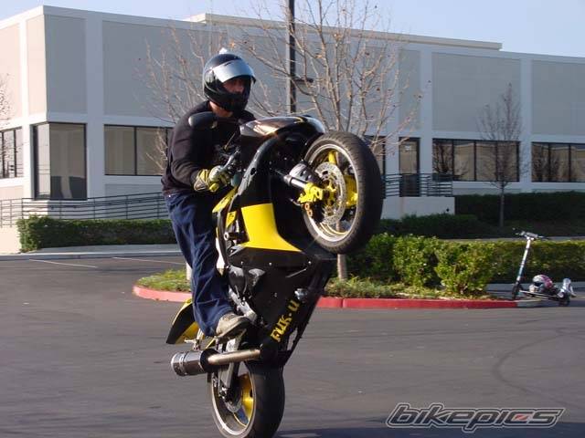 2003 YAMAHA YZF R1 | Picture 115462 motorcycle photo