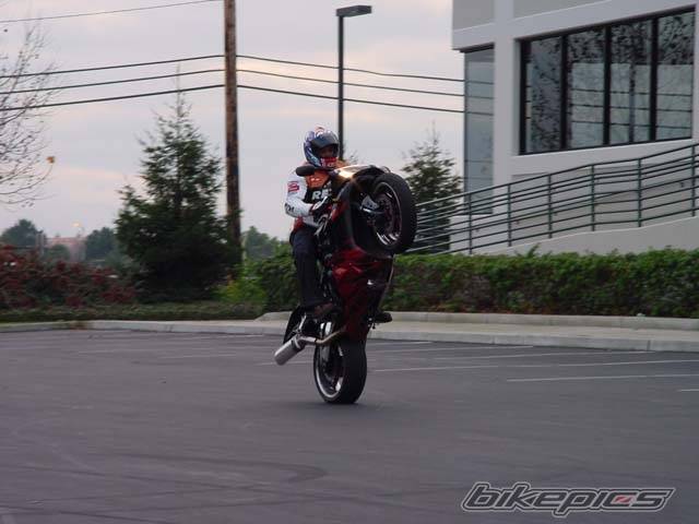 2003 YAMAHA YZF R1 | Picture 115463 motorcycle photo