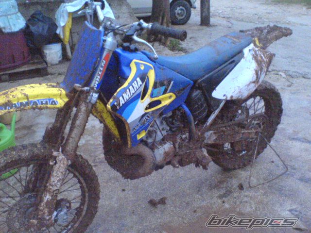 2004 YAMAHA YZ 250 | Picture 1154719 motorcycle photo