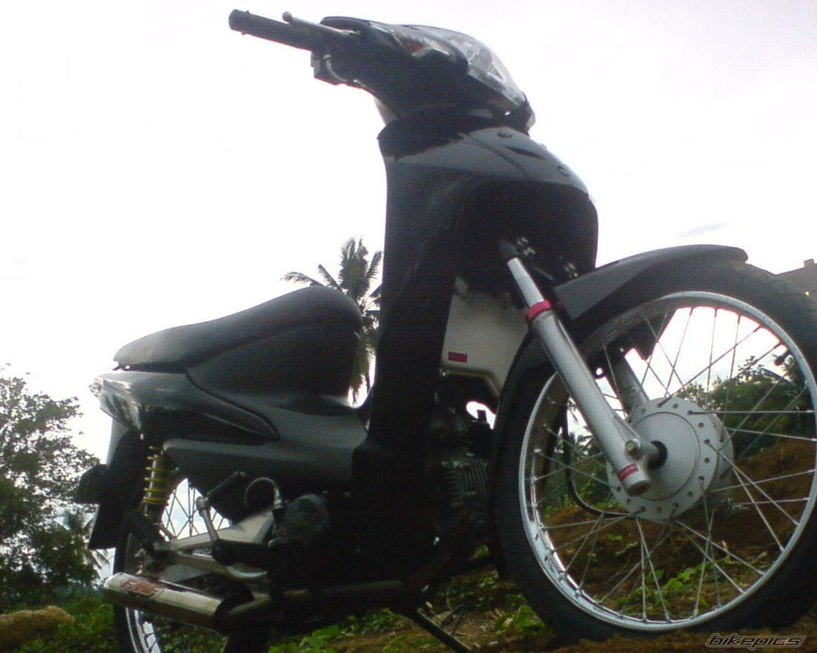 2007 HONDA WAVE 100 | Picture 1155106 motorcycle photo