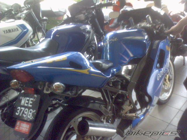 2008 YAMAHA TZM 150 | Picture 1155225 motorcycle photo