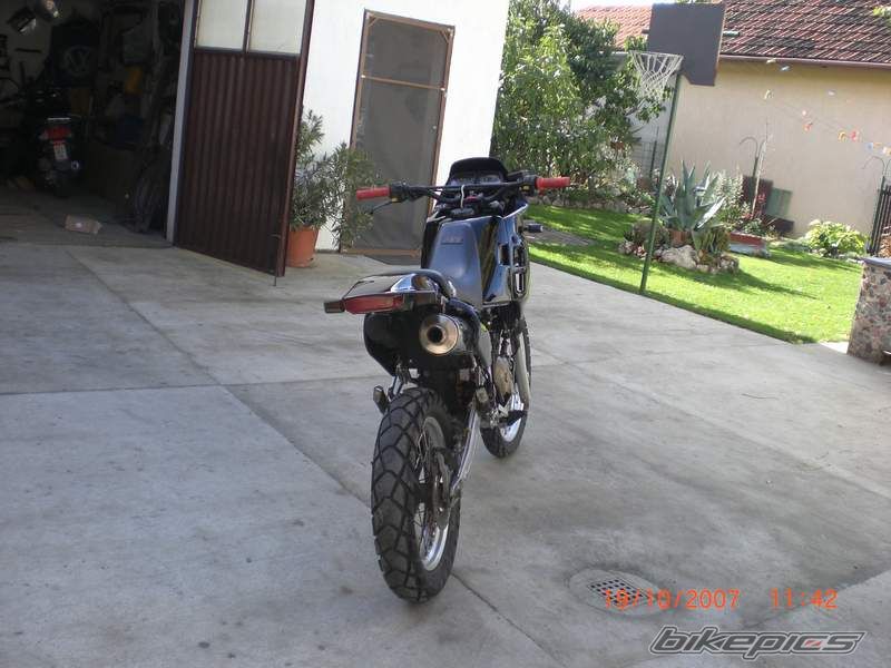 1991 GILERA RC 125 | Picture 1155487 motorcycle photo