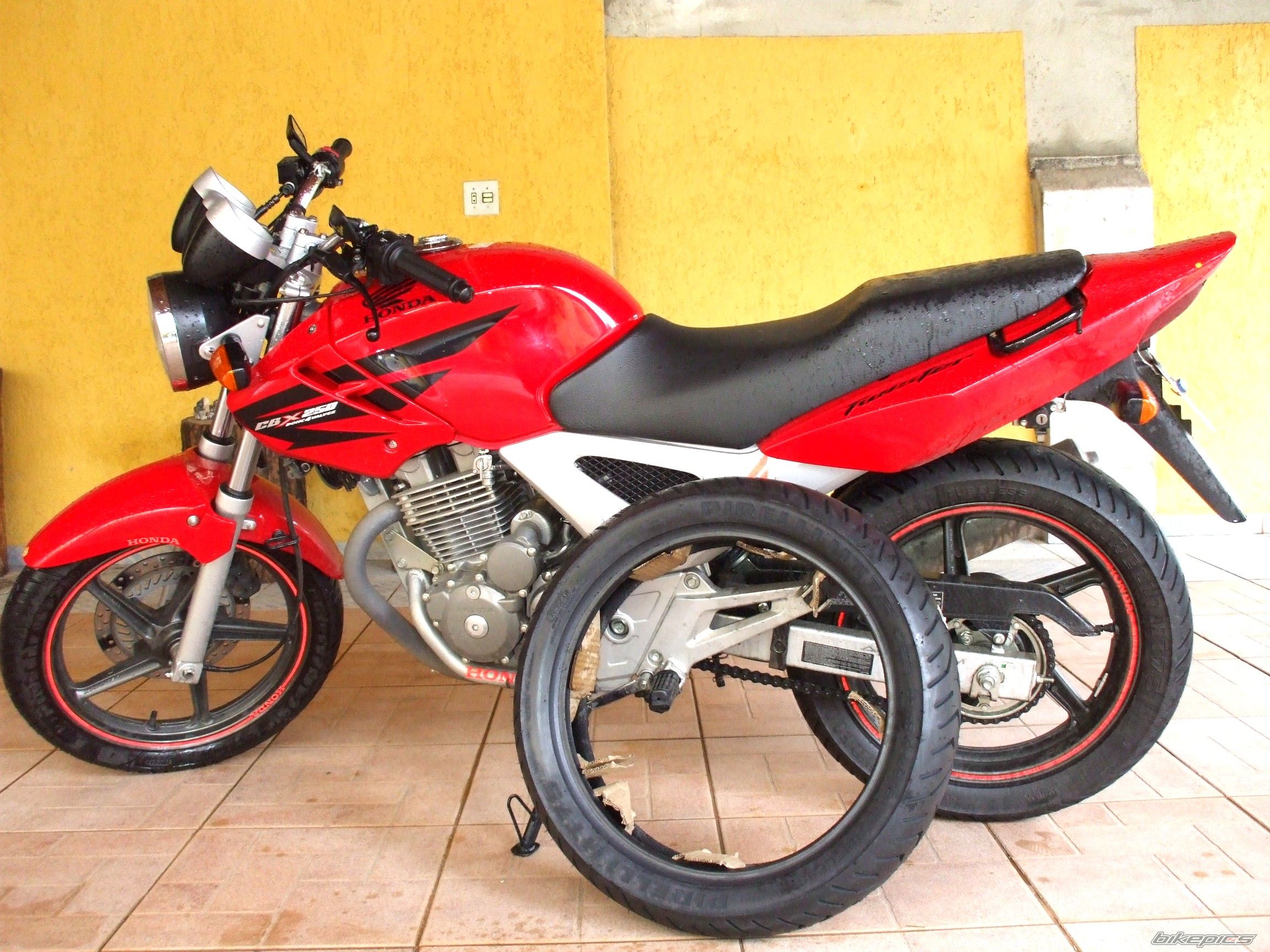 2007 HONDA CBX 250 | Picture 1155504 motorcycle photo