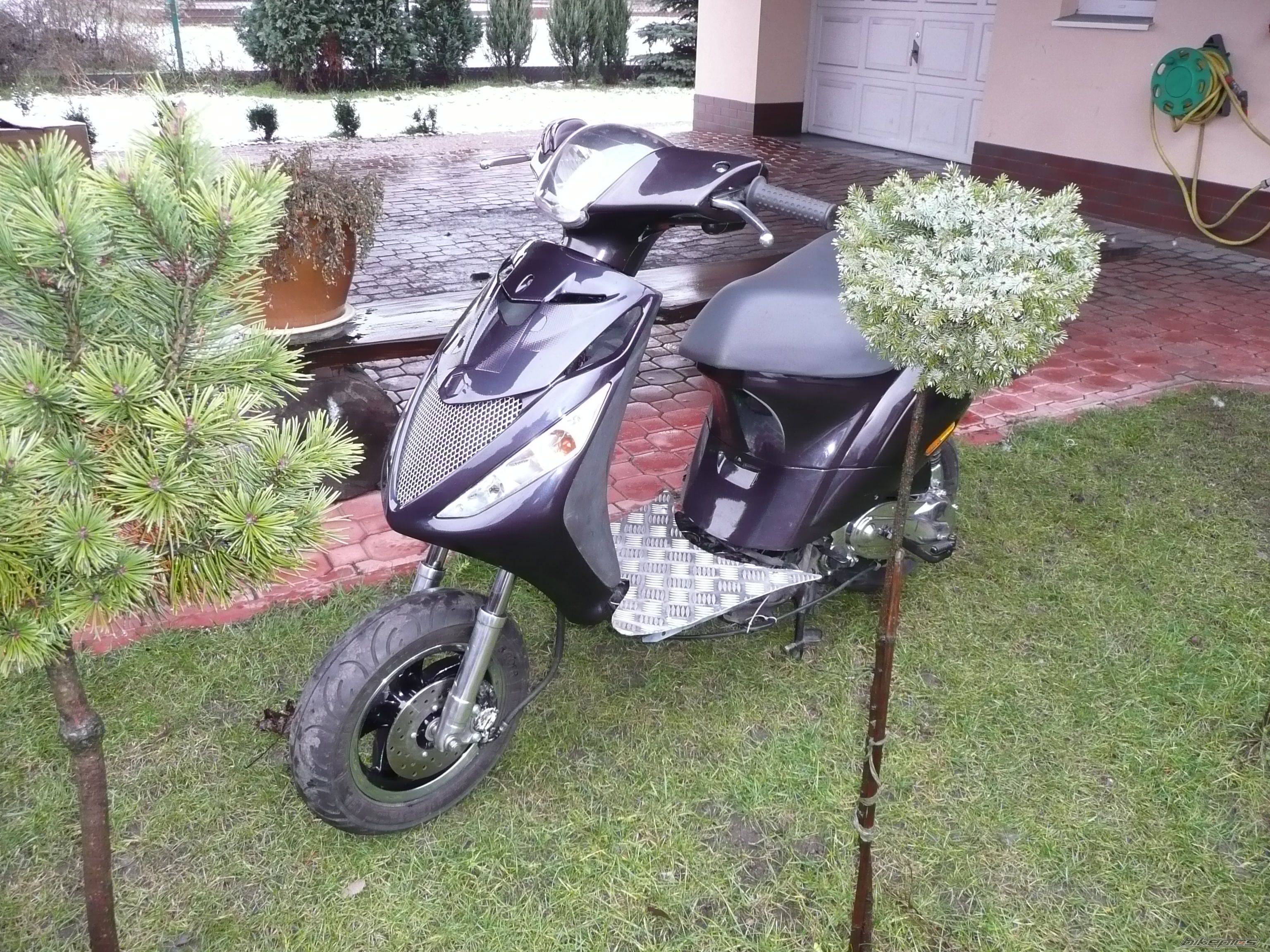 2004 PIAGGIO ZIP | Picture 1156480 motorcycle photo