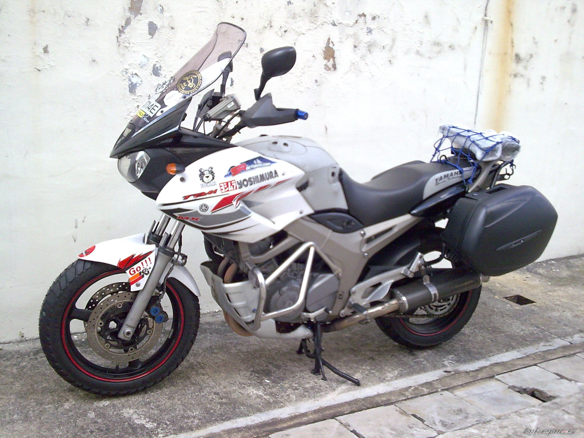 2003 YAMAHA TDM 900 | Picture 1156701 motorcycle photo