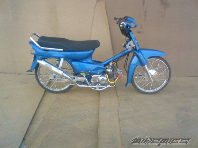 2008 HONDA GLX 50 | Picture 1156784 motorcycle photo