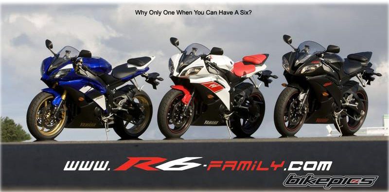 2008 YAMAHA YZF R6 | Picture 1156819 motorcycle photo