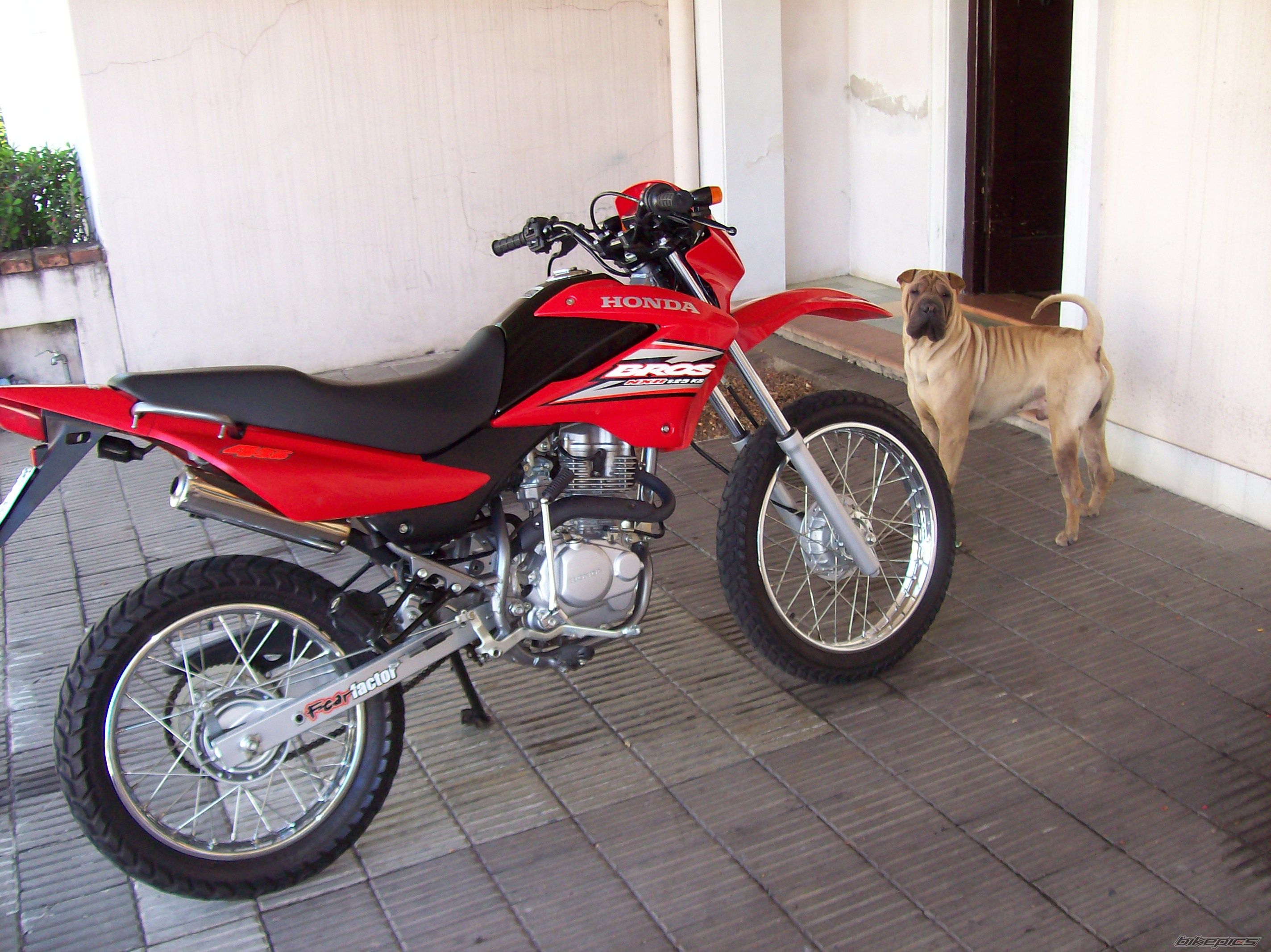 2008 HONDA NXR 125 | Picture 1156882 motorcycle photo