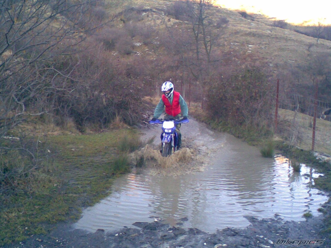 2002 BETA RR 50 | Picture 1156946 motorcycle photo