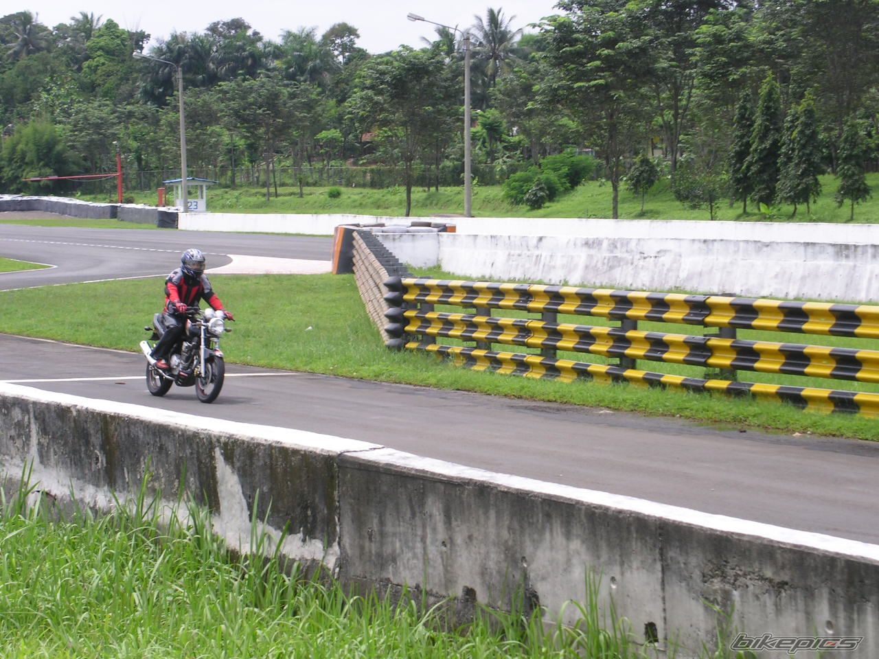 2008 YAMAHA SCORPIO 225 | Picture 1157782 motorcycle photo