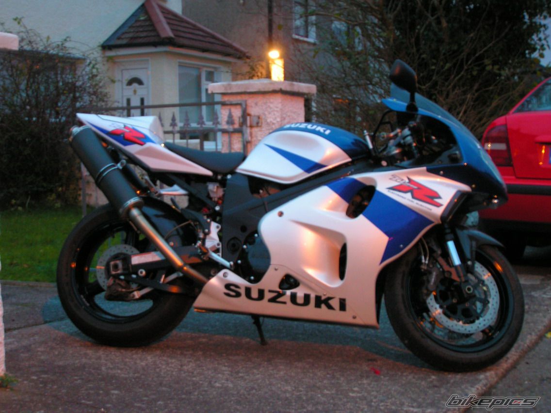 2008 SUZUKI TL1000R | Picture 1158155 motorcycle photo
