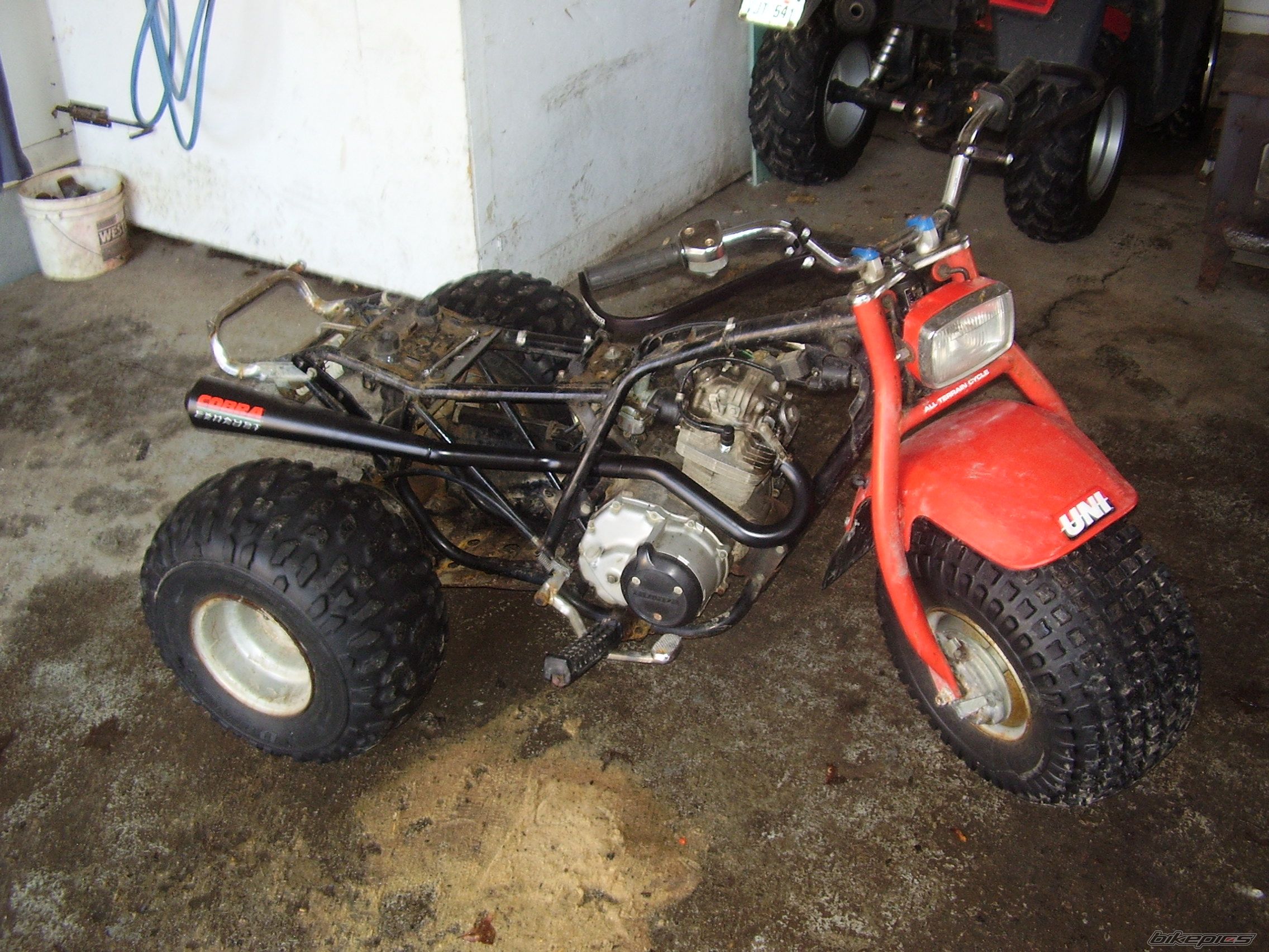1982 HONDA ATC 185 | Picture 1158209 motorcycle photo