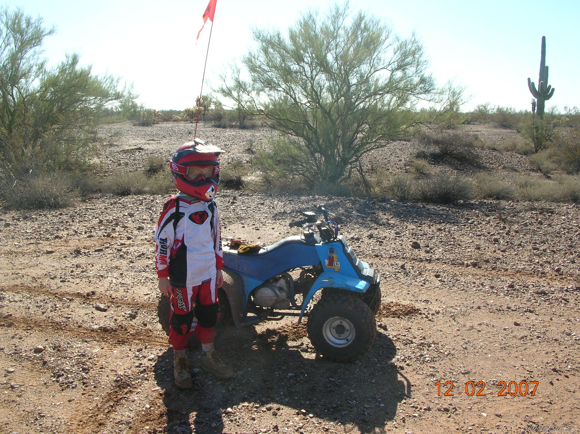 1987 YAMAHA MOTO4 80 | Picture 1158436 motorcycle photo