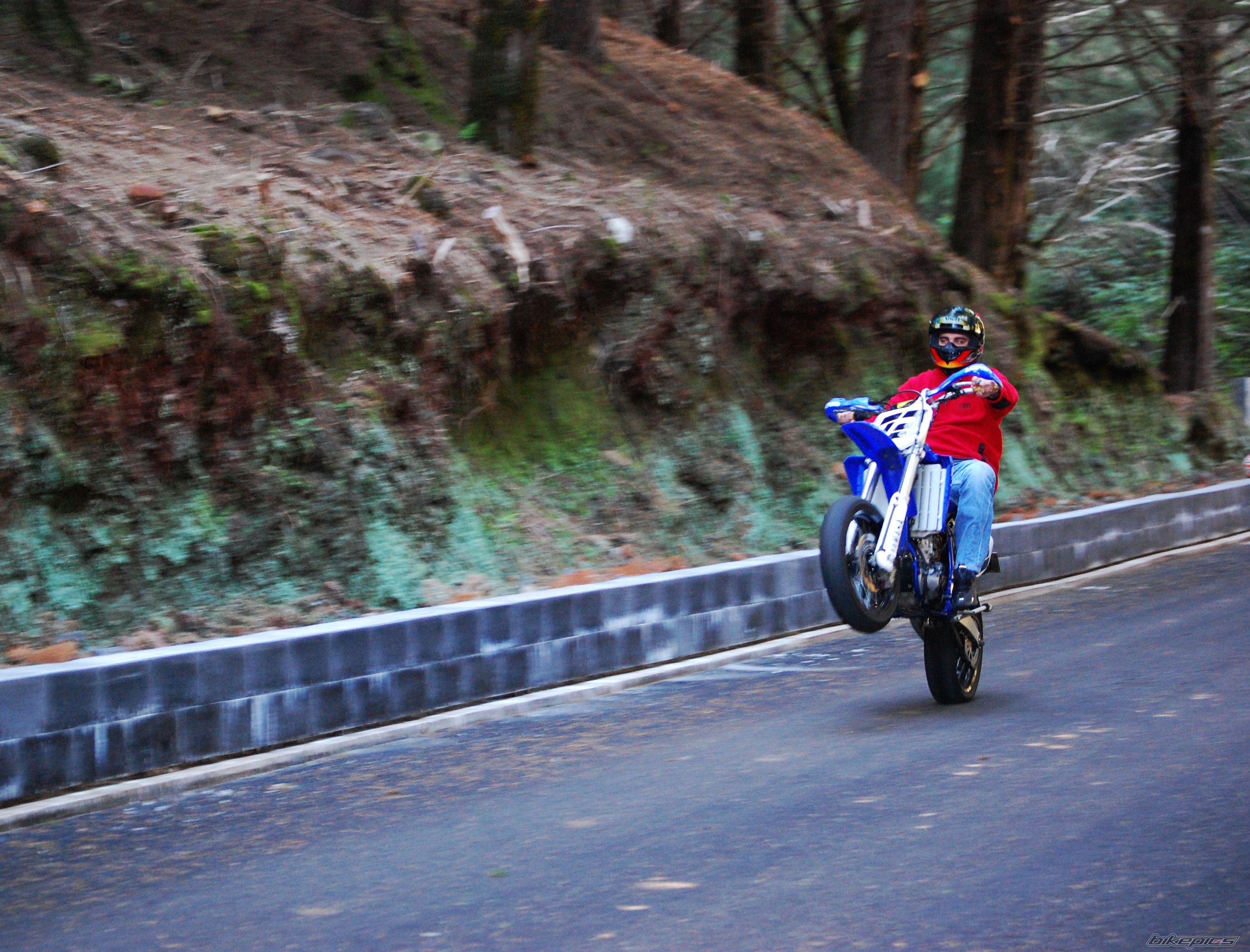 2003 YAMAHA WR 450F | Picture 1158444 motorcycle photo