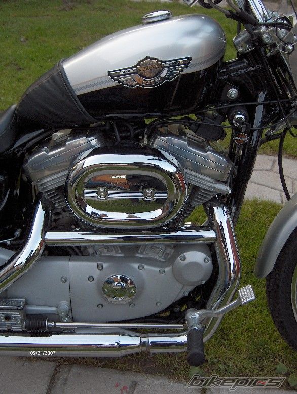 2003 HARLEY DAVIDSON XL 1200 C | Picture 1158548 motorcycle photo