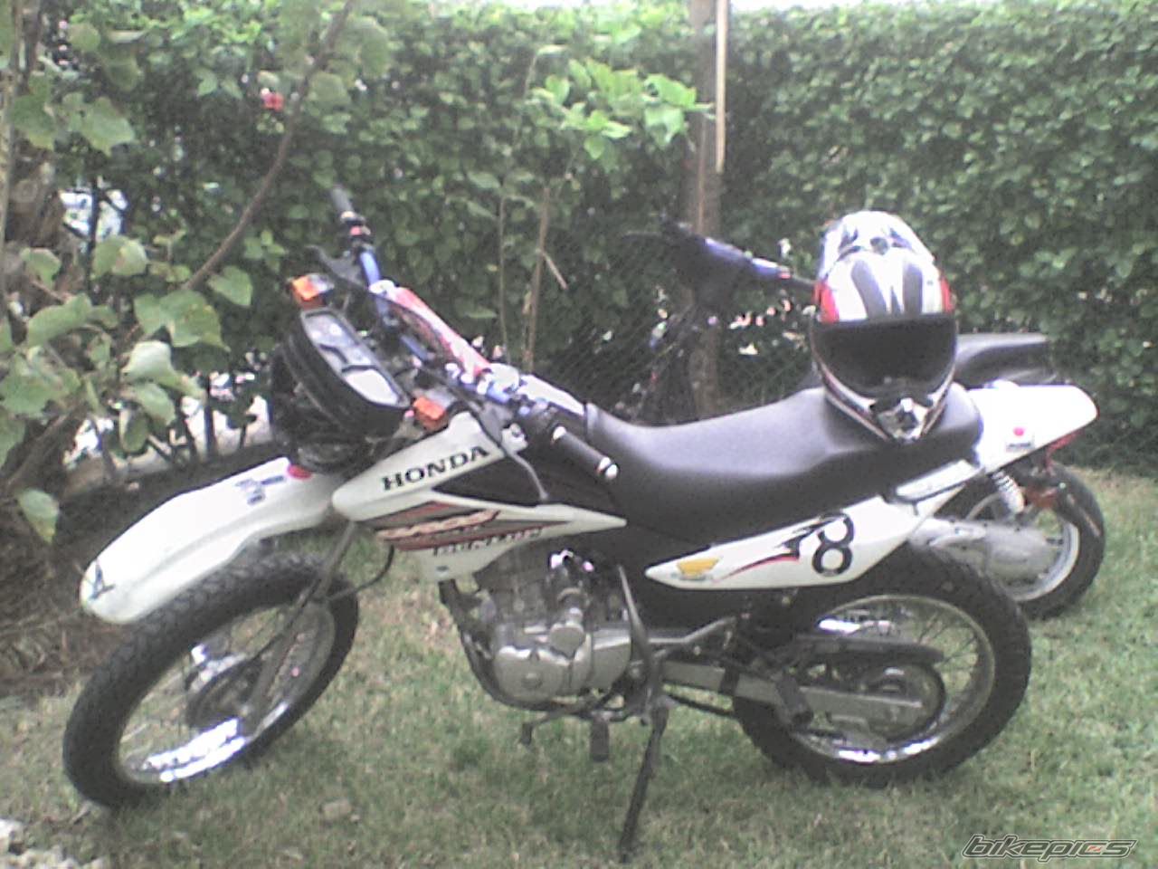 2007 HONDA NXR 125 | Picture 1158698 motorcycle photo