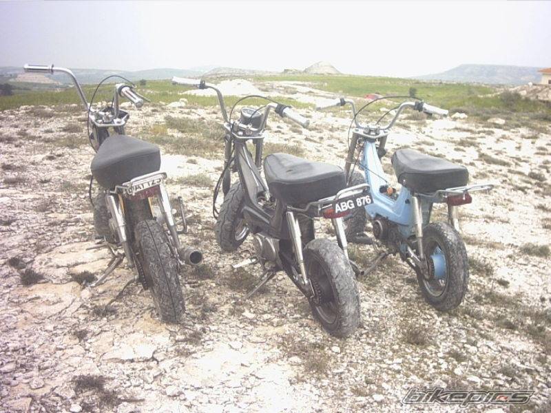 2003 HONDA CHALY | Picture 115879 motorcycle photo