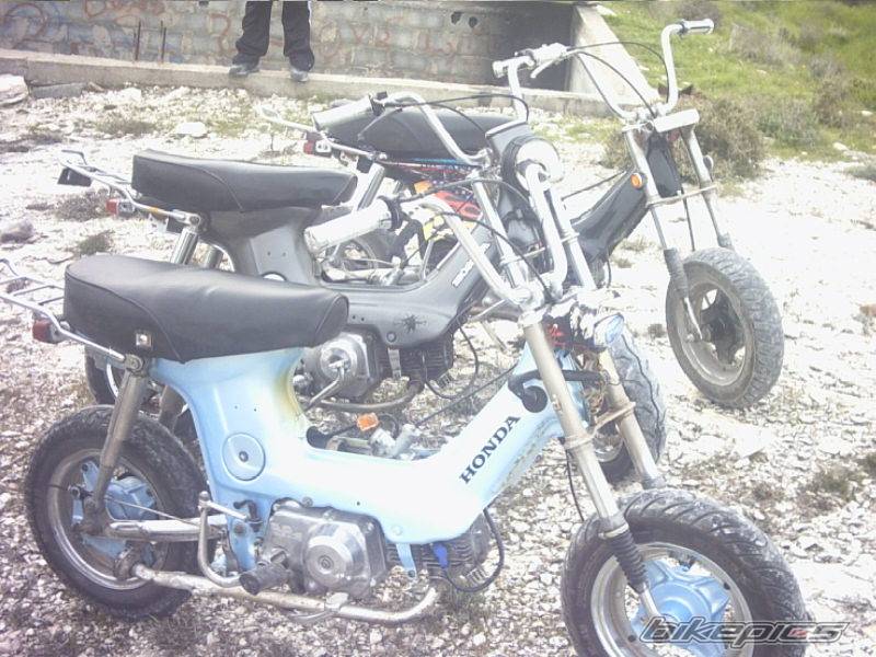2003 HONDA CHALY | Picture 115881 motorcycle photo