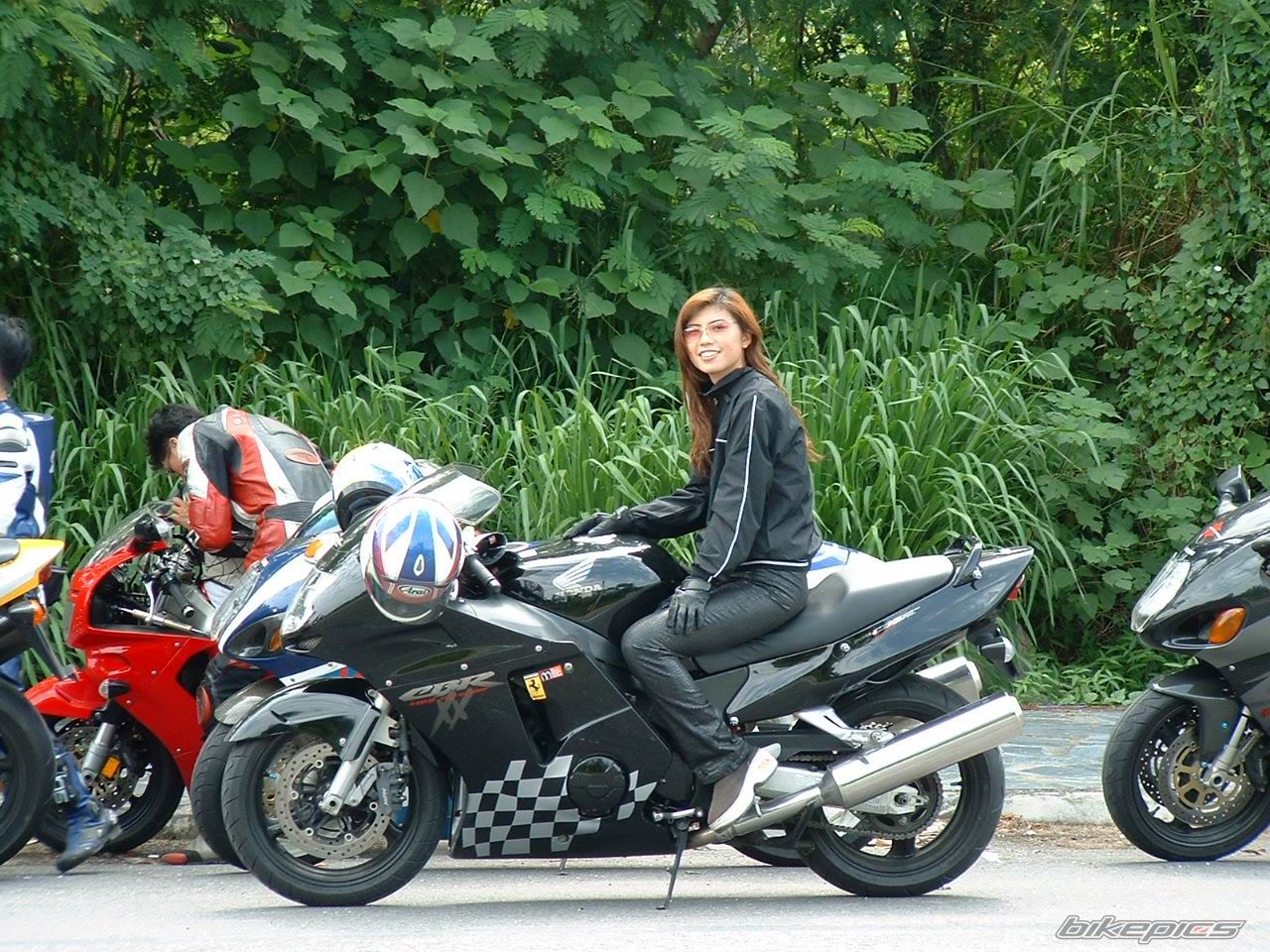 2001 HONDA CBR 1100 BLACKBIRD | Picture 1158869 motorcycle photo