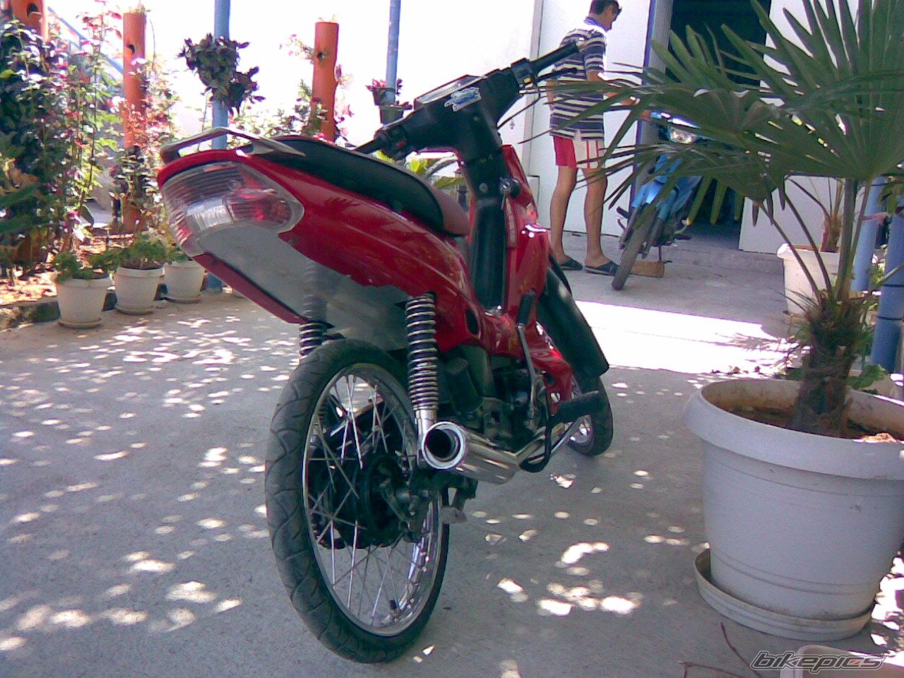2001 YAMAHA CRYPTON R 105 | Picture 1158927 motorcycle photo