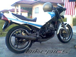 2008 YAMAHA RD 250 | Picture 1159102 motorcycle photo