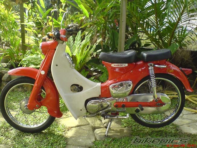 1965 HONDA SUPER CUB | Picture 1159279 motorcycle photo