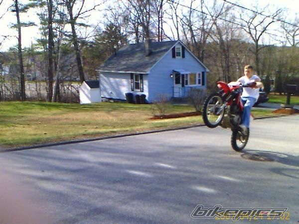 2004 HONDA CRF 230 | Picture 1159653 motorcycle photo