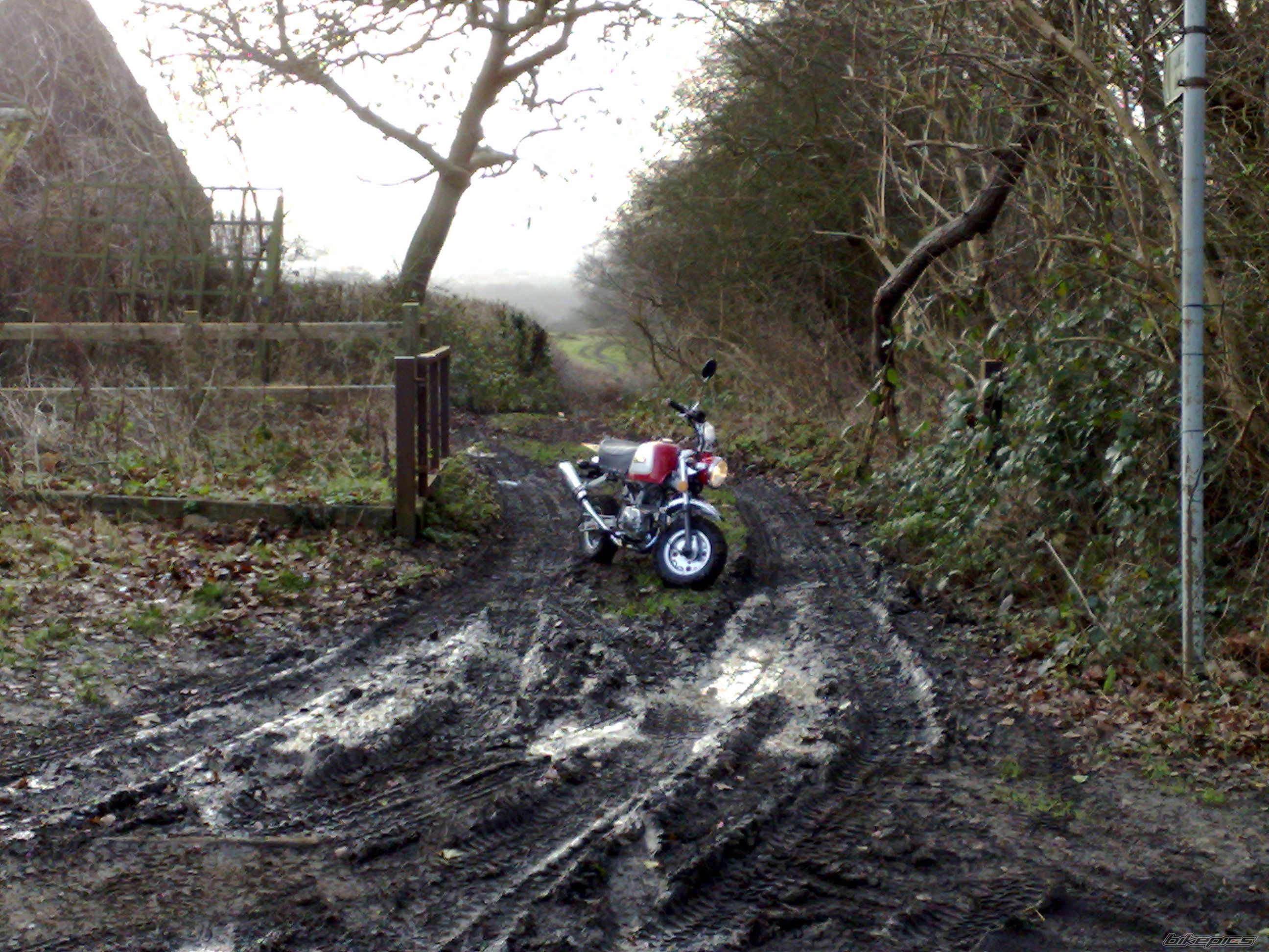 2006 SKYTEAM GORILLA 110 | Picture 1159814 motorcycle photo