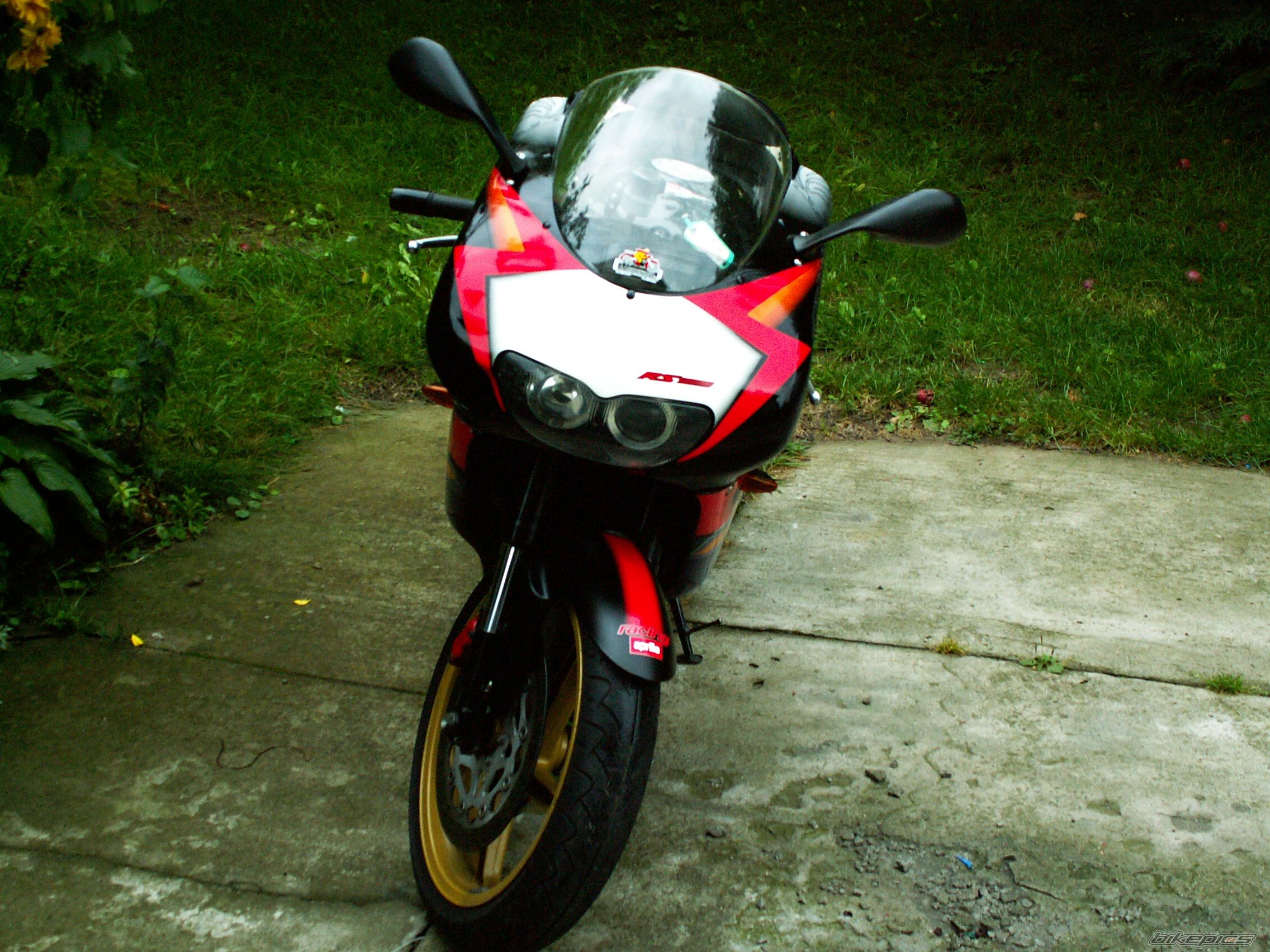 2003 APRILIA RS 125 | Picture 1160197 motorcycle photo