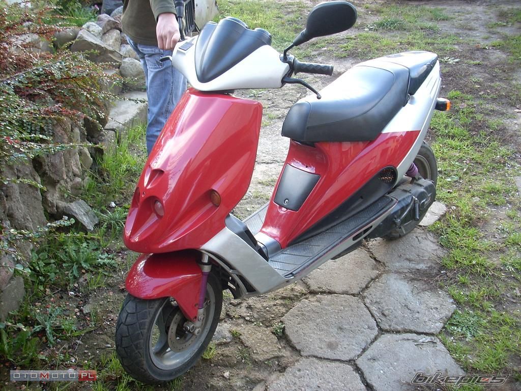 1995 MALAGUTI PHANTOM 50 F12 | Picture 1160428 motorcycle photo
