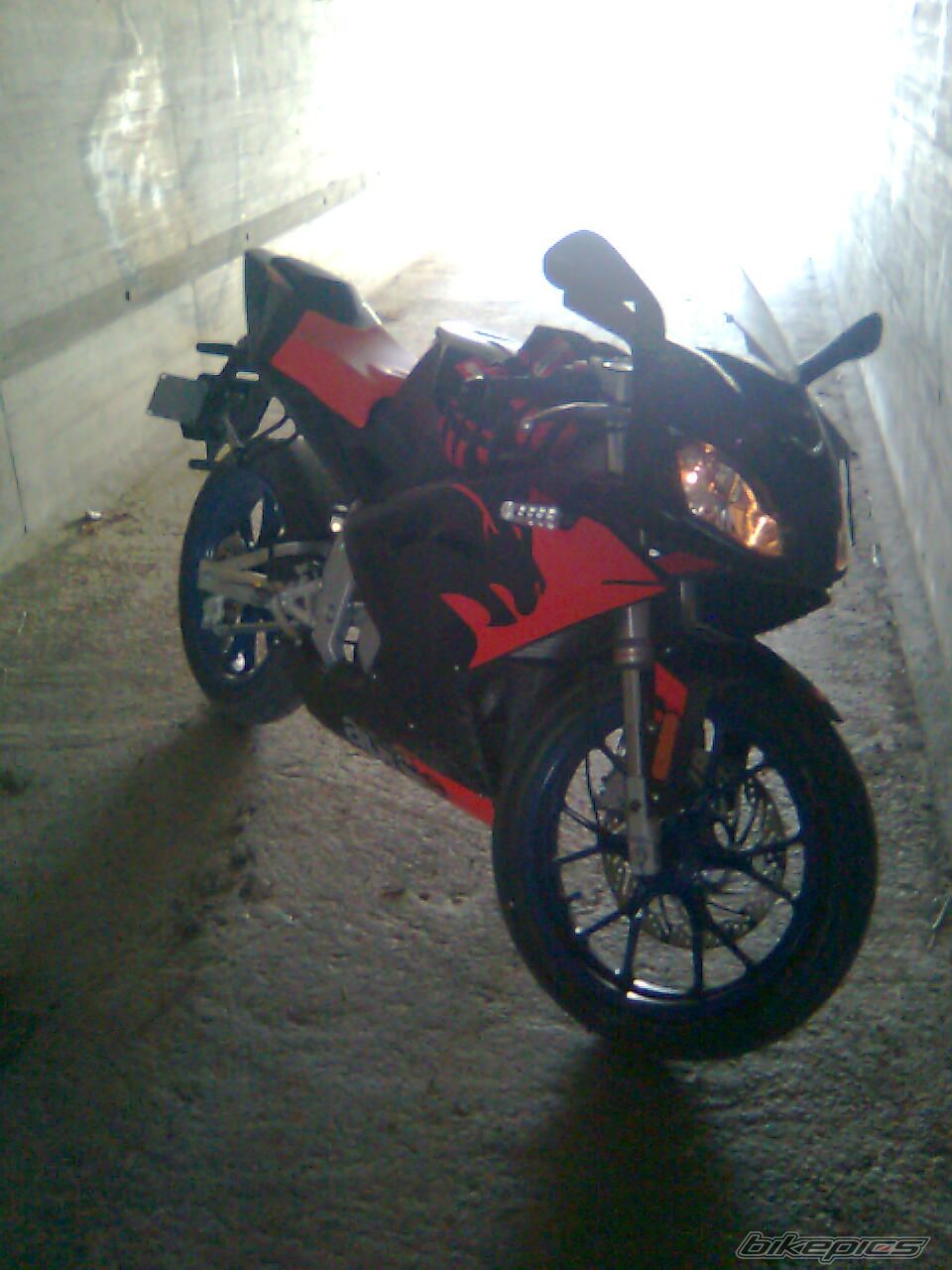 2008 APRILIA RS 50 | Picture 1160469 motorcycle photo