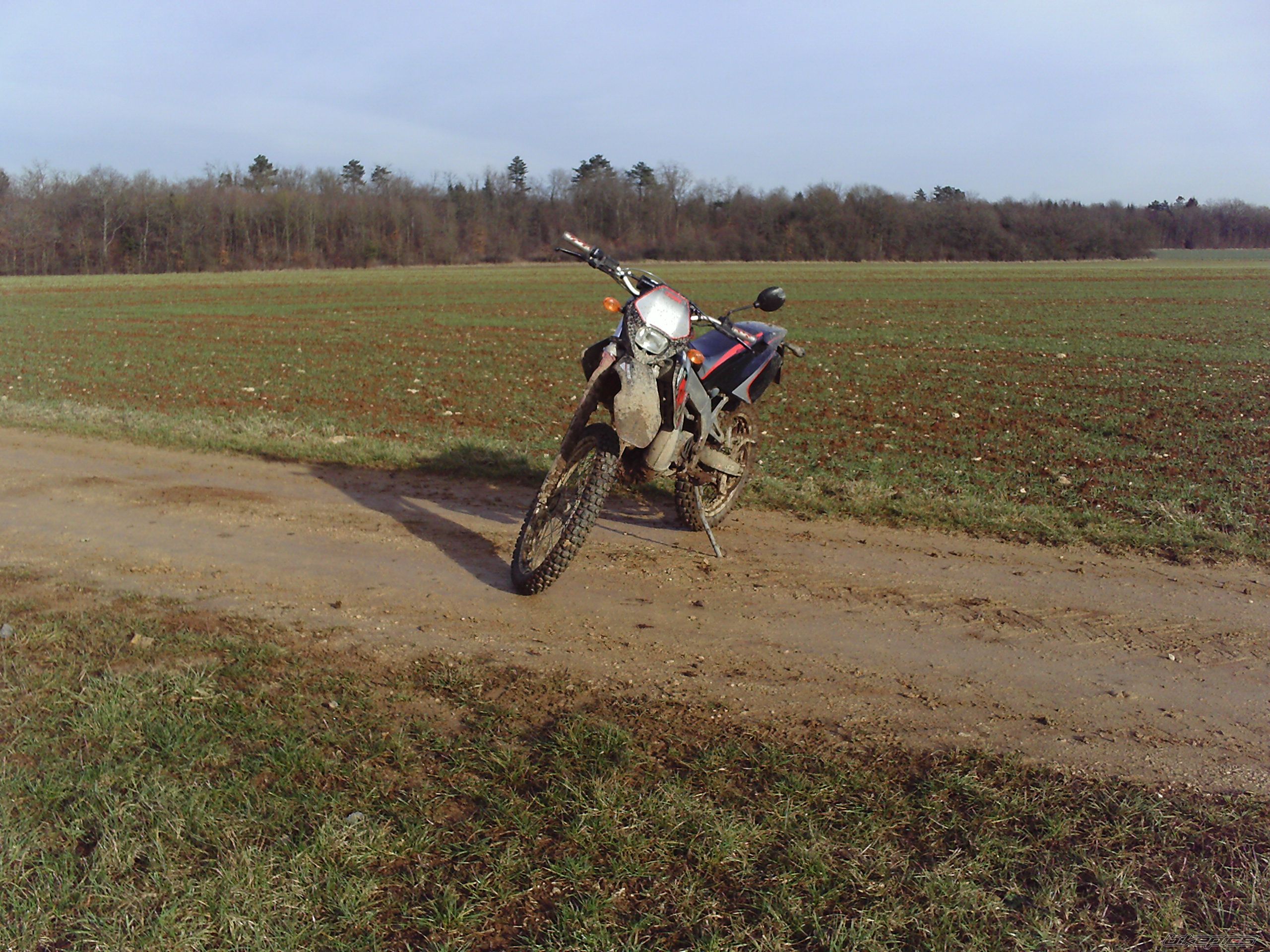 2002 DERBI SENDA X TREME R 50 | Picture 1161008 motorcycle photo