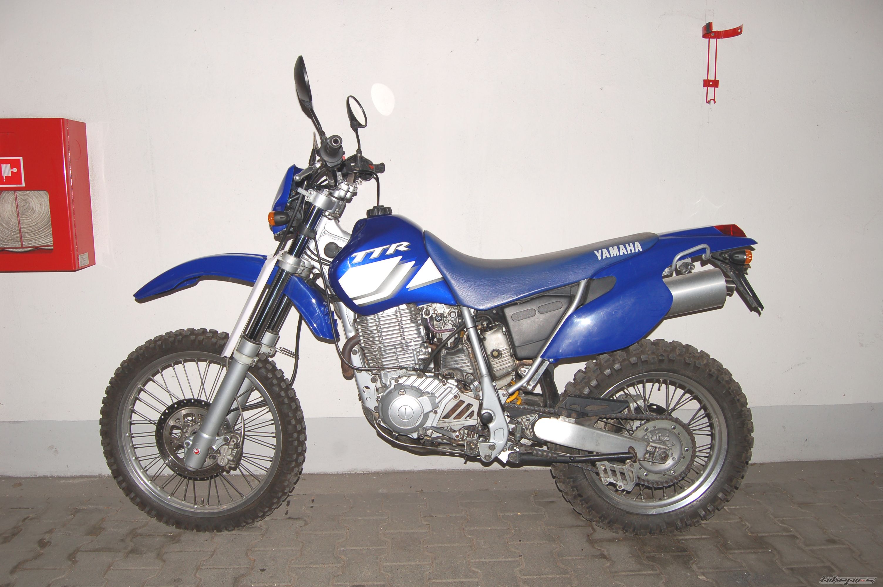 1995 HONDA XL 600V TRANSALP | Picture 1161291 motorcycle photo
