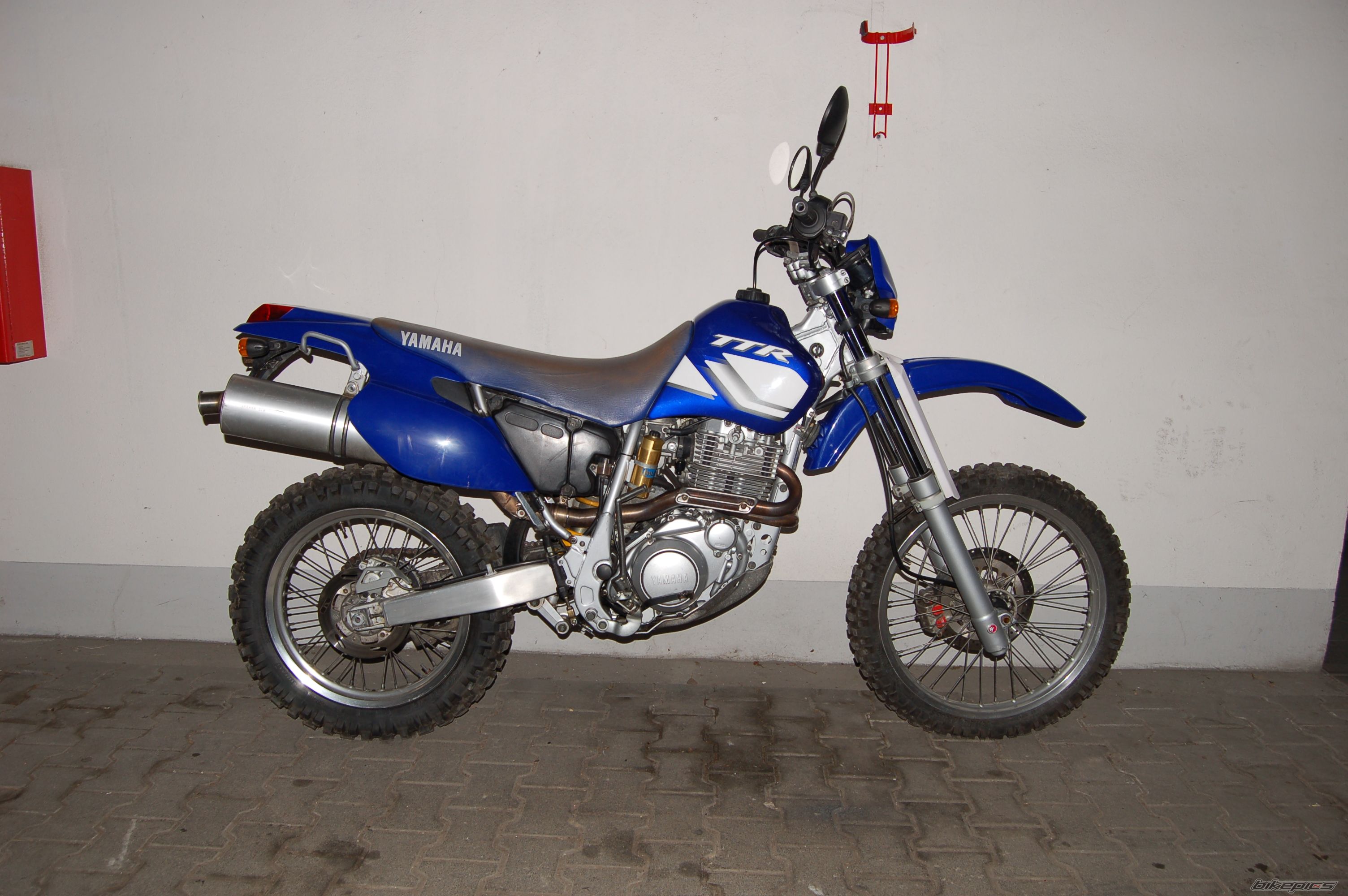 2001 YAMAHA TTR 600 | Picture 1161308 motorcycle photo