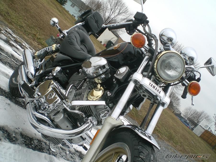 1985 YAMAHA VIRAGO XV1000 | Picture 1161445 motorcycle photo