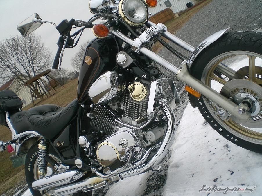 1985 YAMAHA VIRAGO XV1000 | Picture 1161448 motorcycle photo