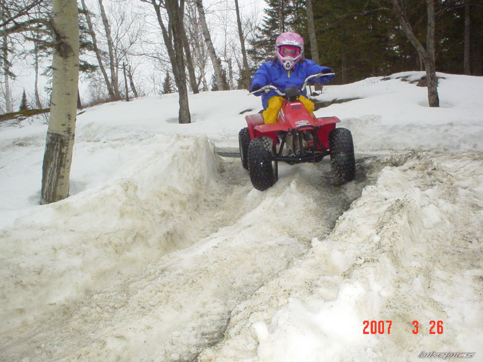 1986 HONDA FOURTRAX 70 | Picture 1161741 motorcycle photo