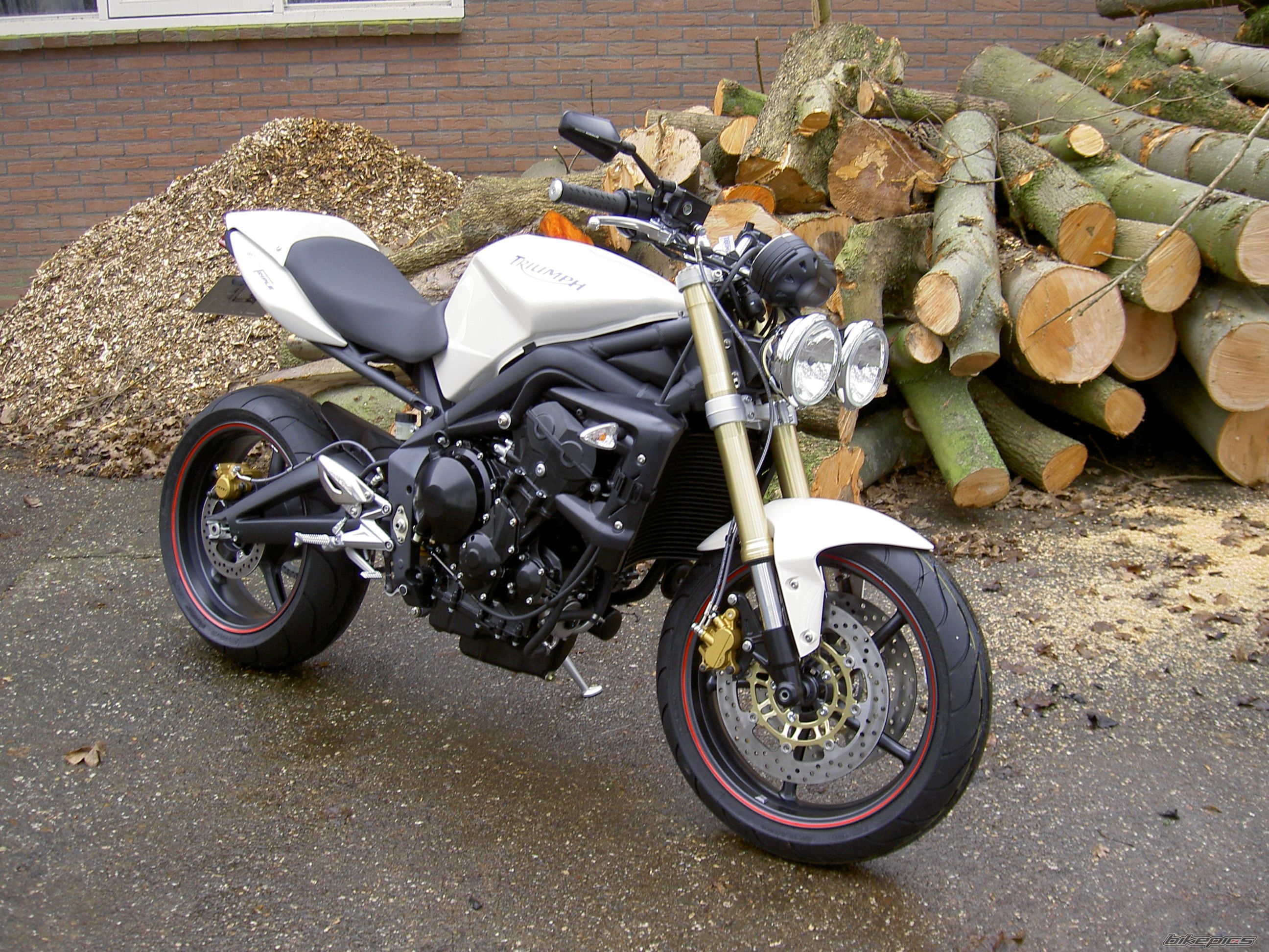 2008 TRIUMPH SPEED TRIPLE | Picture 1162114 motorcycle photo