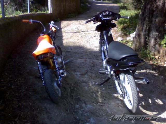 2008 SUZUKI FX 125 | Picture 1162638 motorcycle photo