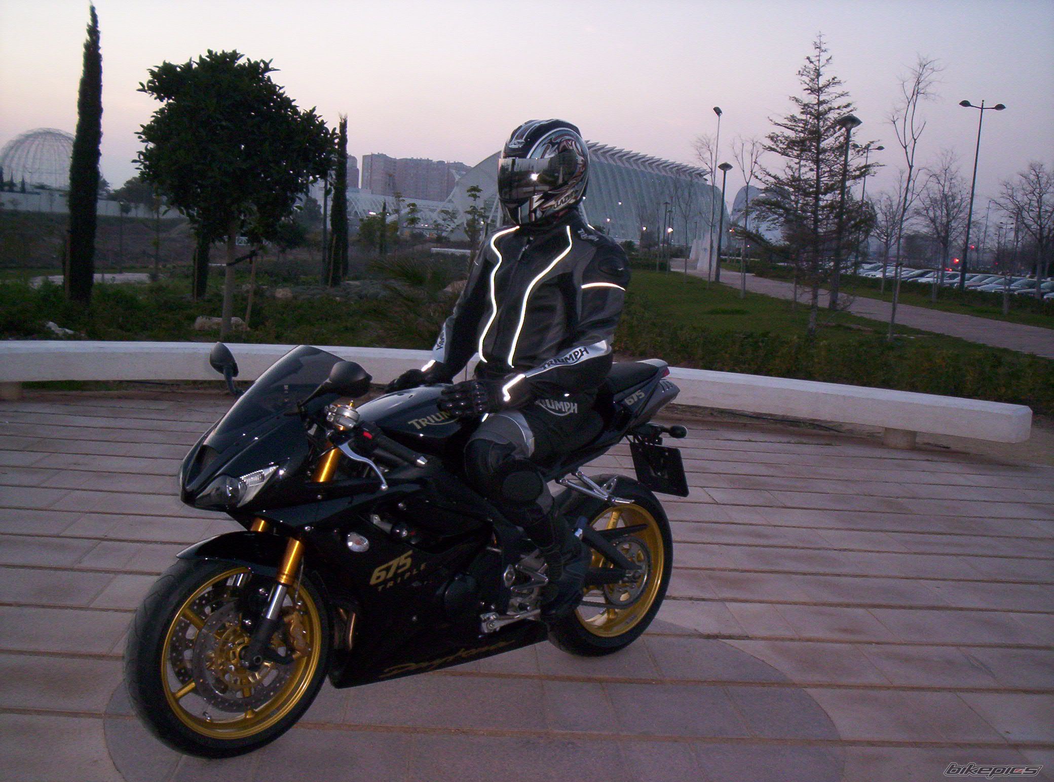 2008 TRIUMPH DAYTONA 675 | Picture 1164900 motorcycle photo