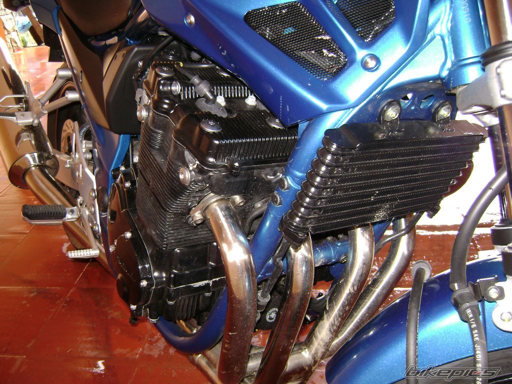 2007 SUZUKI BANDIT 650 | Picture 1165866 motorcycle photo