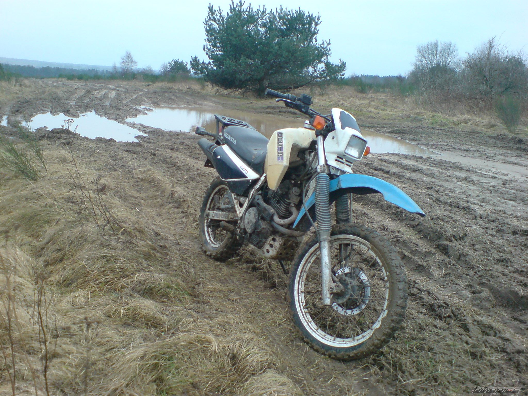 1989 HONDA XL 600 | Picture 1166645 motorcycle photo