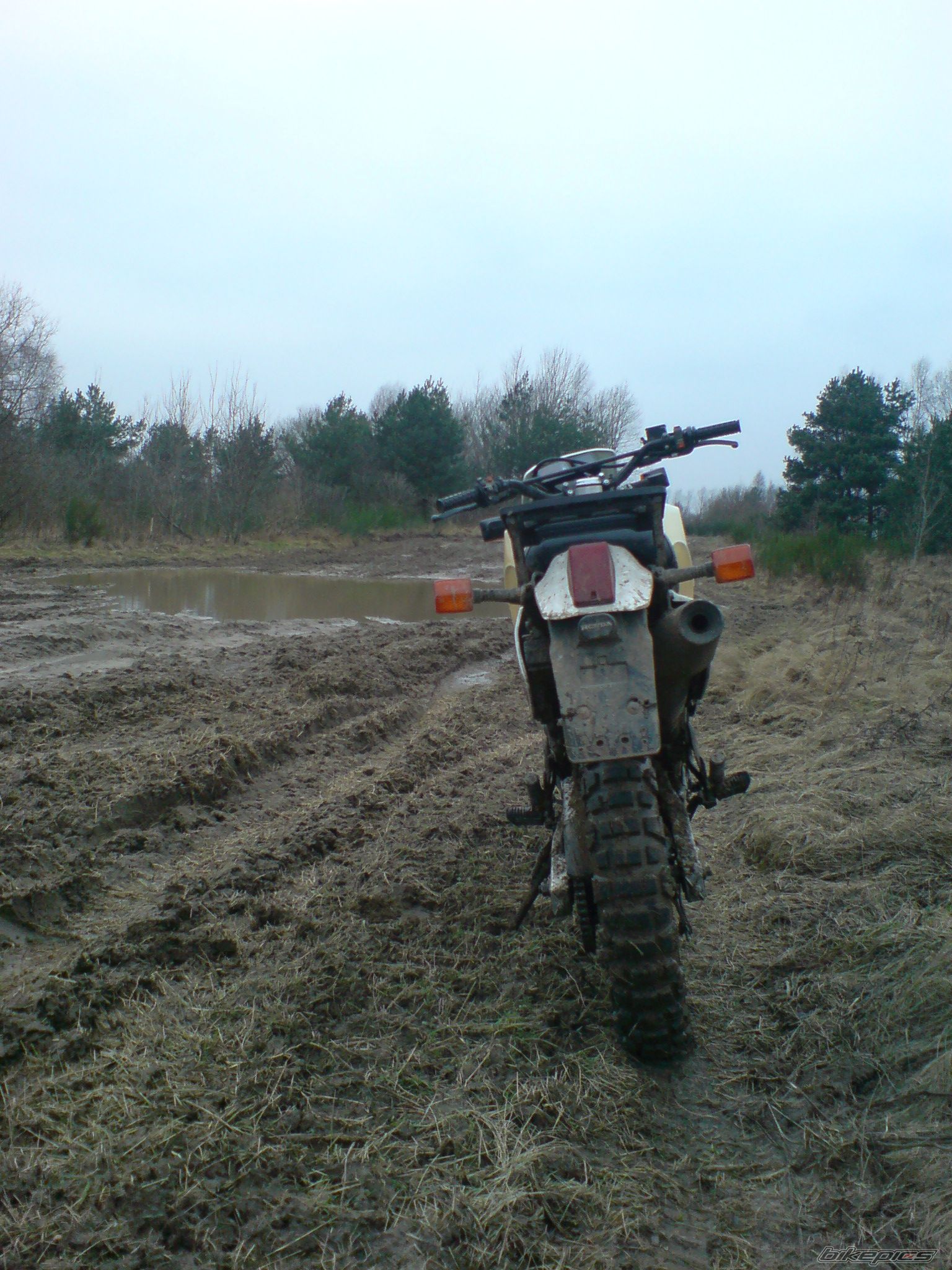 1989 HONDA XL 600 | Picture 1166649 motorcycle photo